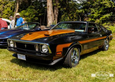Randy Roth / 1973 Ford Mustang